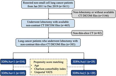 Automated 3D segmentation of the aorta and pulmonary artery for predicting outcomes after thoracoscopic lobectomy in lung cancer patients